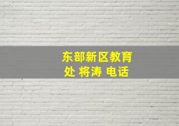 东部新区教育处 将涛 电话